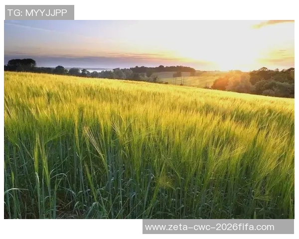 深入解析足球亚洲让球盘的玩法技巧与投注策略分享