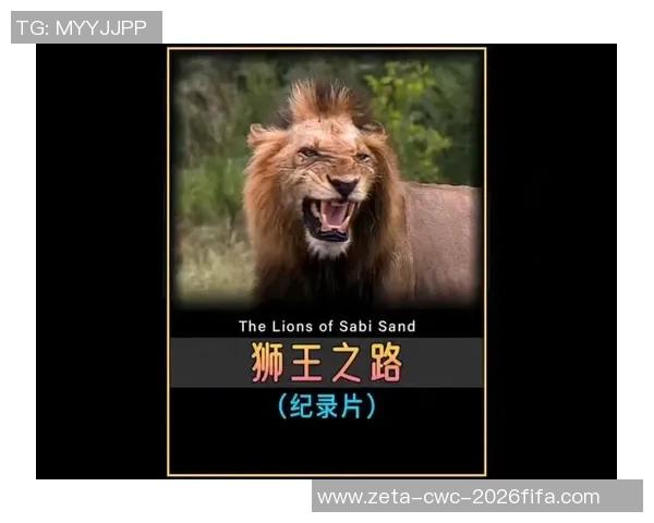 足球大师小狮王的传奇之路与成长故事揭秘